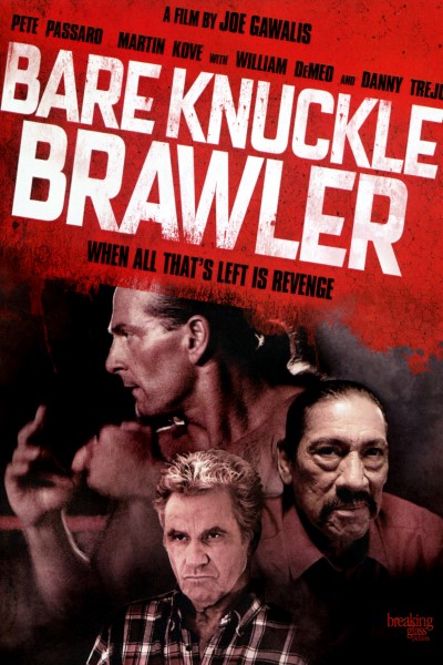 Download Bare Knuckle Brawler (2019) Dual Audio {Hindi-English} Movie 480p | 720p | 1080p WEB-DL ESub